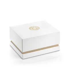 Aiakos Automatisk Klokke Swiss Made