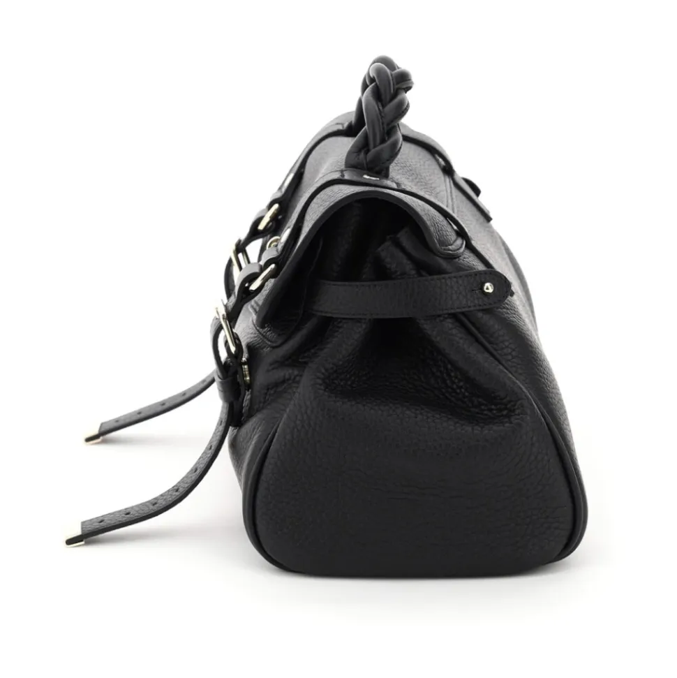 Alexa Bag