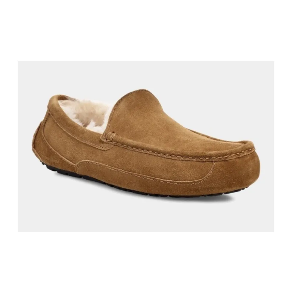 Ascot Slipper Chestnut
