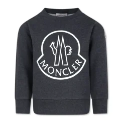 Barn Grå Sweatshirt Sweaters