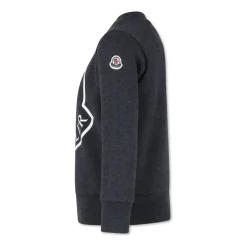Barn Grå Sweatshirt Sweaters