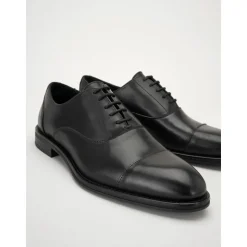 Business Flats