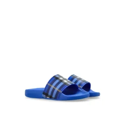 Check Slides