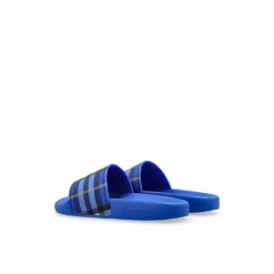 Check Slides