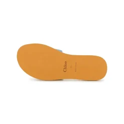 Flipflops