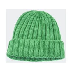 Premium Wool Beanie